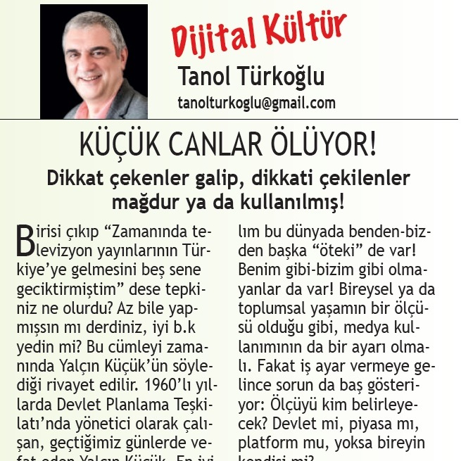 DK518-24-04-2026 Küçük Canlar Ölüyor