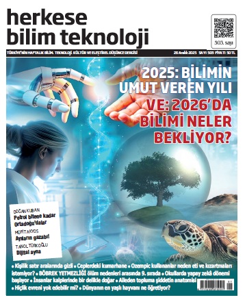 HBT503-26-12-2025